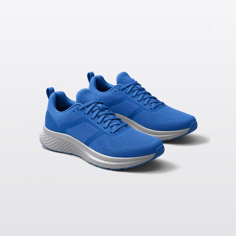 Nike Air Zoom Pegasus
