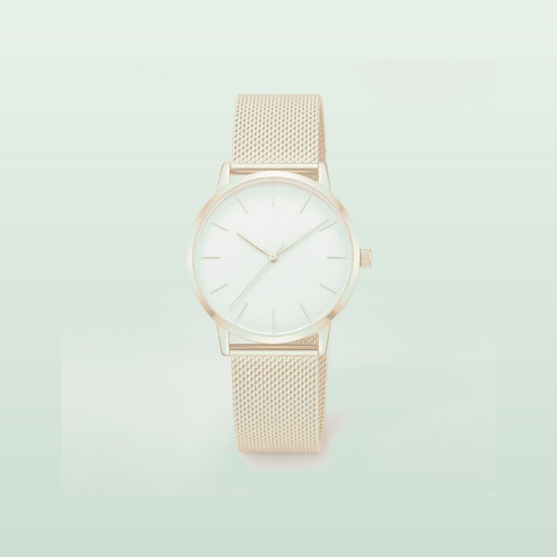 Citizen Eco-Drive 金調女錶